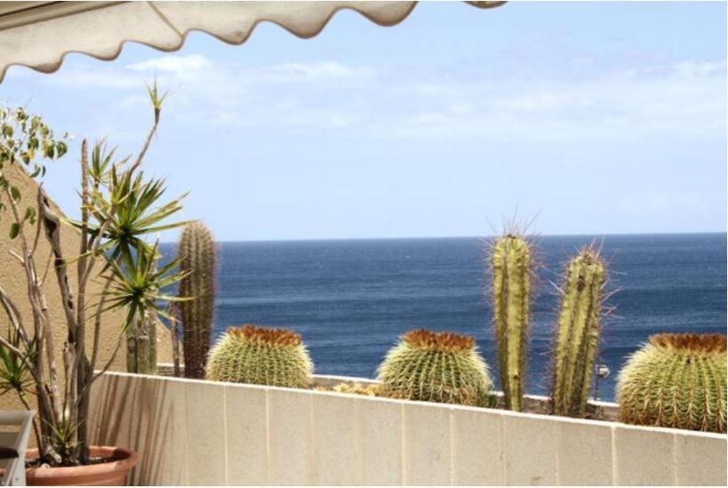 Apartamento Frente Al Mar Radazul 외부 사진